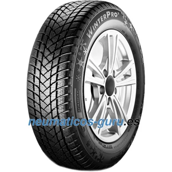Champiro Winterpro 2 175/65 R14