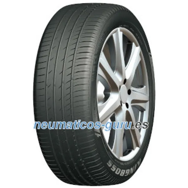 G866 255/45 R19